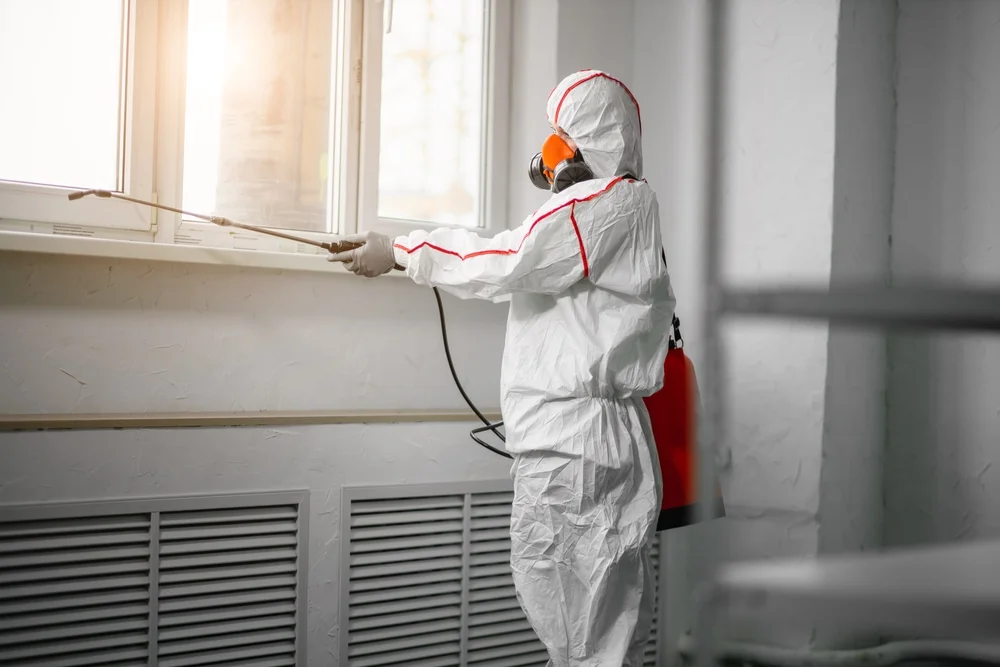 Professional mold remediation services in Andrews, SC